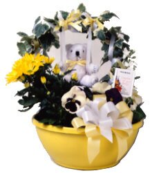 Live Bouquets - guaranteed to last ten times longer than cut flowers, or your money back!